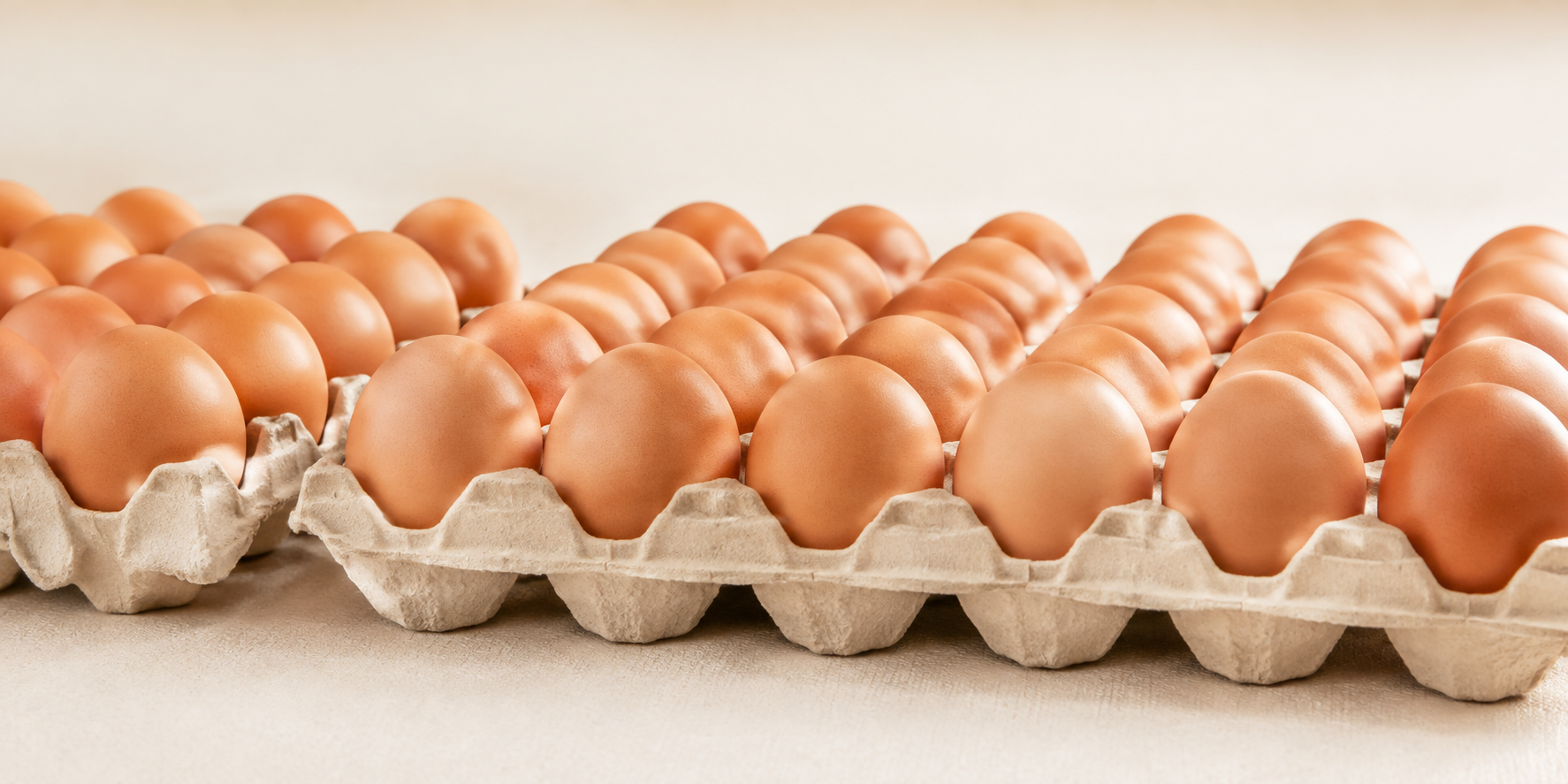 Commercial brown shell eggs in pulp trays